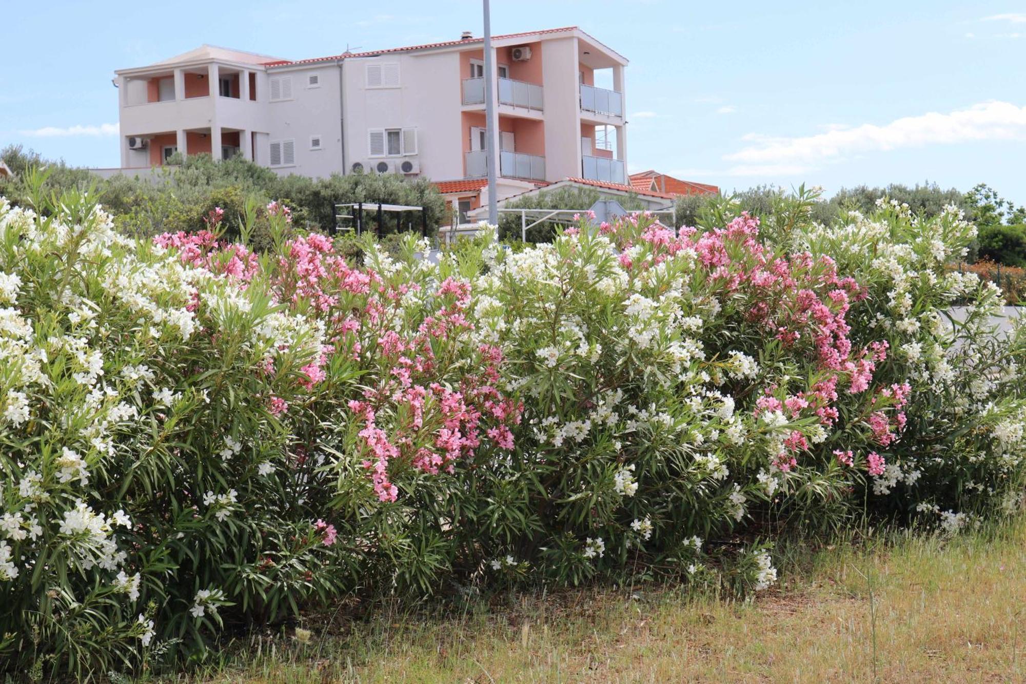 Apartmani Bilokapic Primošten Esterno foto